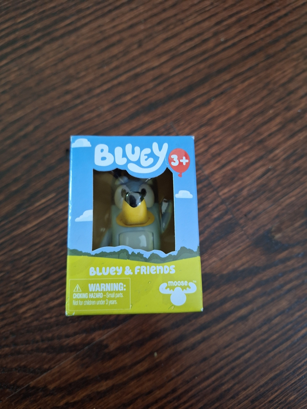 Bluey Character